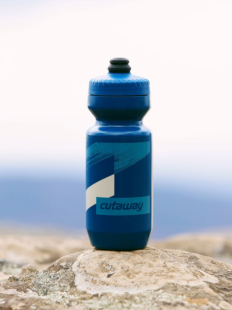 Born in the Blue Ridge 22oz Purist Water Bottle - Indigo