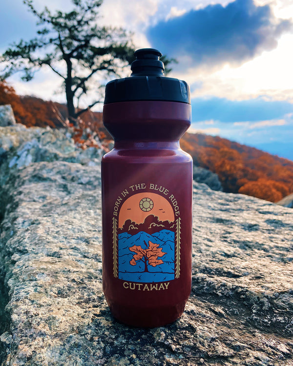 Blue Ridge 22oz Purist Water Bottle - Rosewood - Cutaway USA